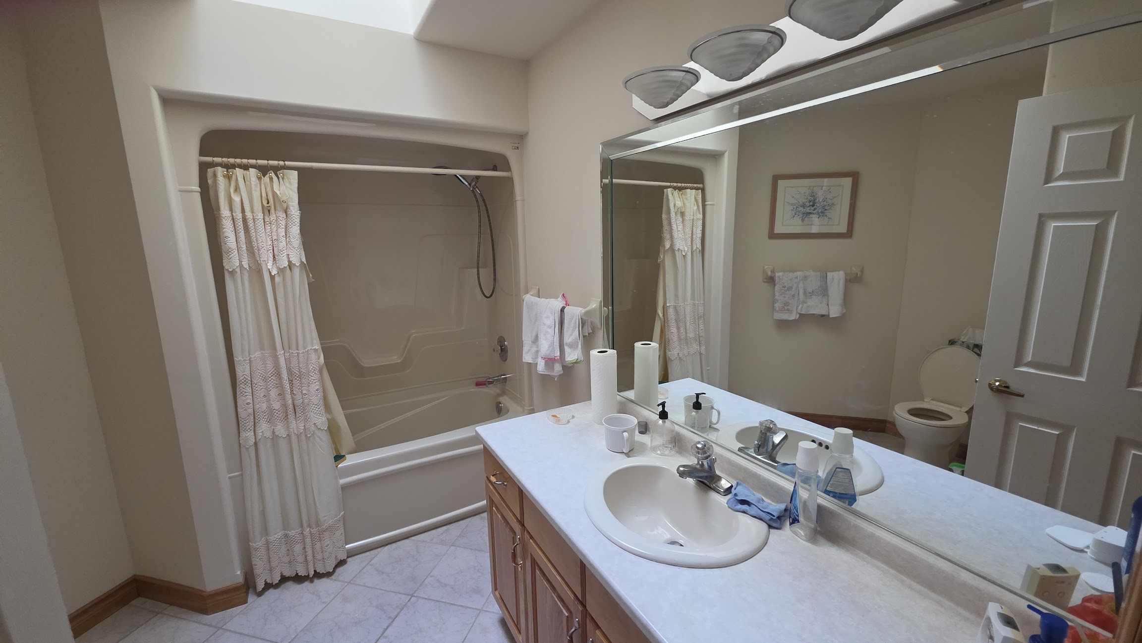 Main bathroom — full bathtub with shower, single vanity, skylight