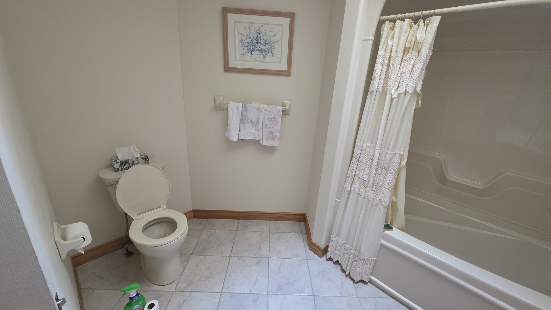 Main bathroom — toilet and bathtub area