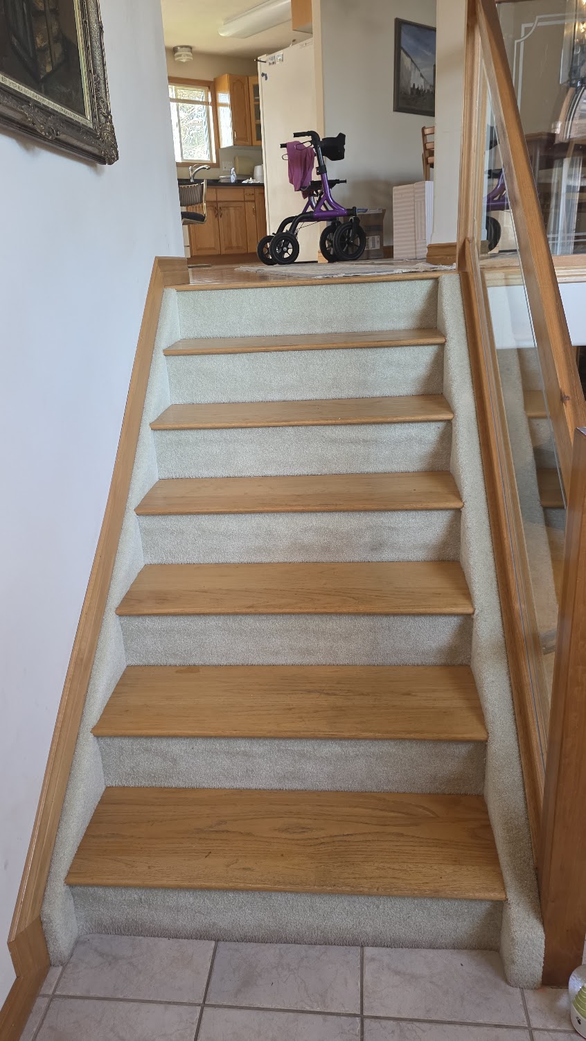 Staircase — view from the bottom, 8 carpeted steps with wood trim and glass railing